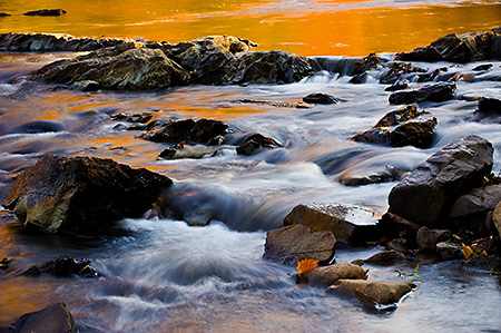 Fall Reflections with Leaf on the Rivanna River, Charlottesville, VA